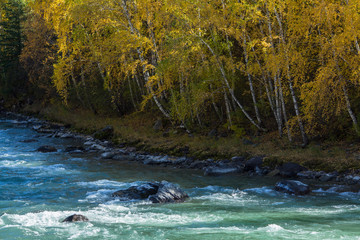 Rapids of the Katun river in the Altai mountains, Russia.