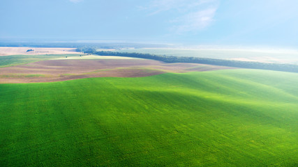 drone with a camera on a green field.