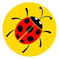 lady bug circle icon