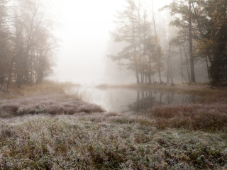 Misty autumn morning by lakeside in Farnebofjarden national park in Sweden