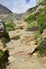 Weg in den Bergen, Wanderung in den Alpen