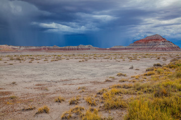 Painted Desert