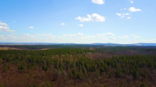 flight over the spring forest