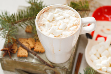 Hot Christmas cocoa in a white mug with marshmallow
