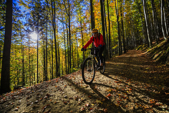 Cycling, mountain bikeing woman on cycle trail in autumn forest. Mountain biking in autumn landscape forest. Woman cycling MTB flow uphill trail.