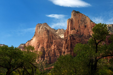 Fototapeta na wymiar Zion National Park, Utah, USA: Typical rock formation