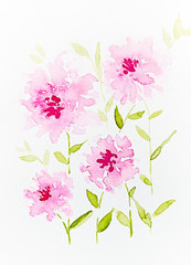 Watercolor Dahlia Flowers (hand painted)