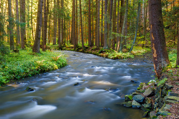Autumn, fall wild river Doubrava, picturesque landscape.