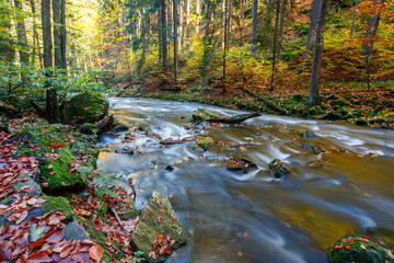 Fototapeta na wymiar Autumn, fall wild river Doubrava, picturesque landscape.