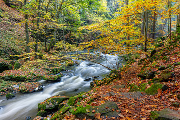 Autumn, fall wild river Doubrava, picturesque landscape.