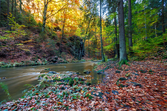 Autumn, fall wild river Doubrava, picturesque landscape.