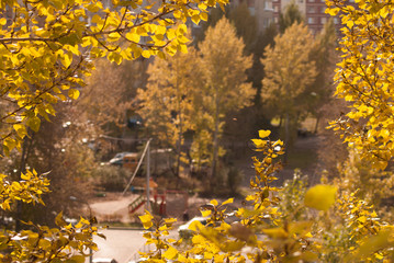 Autumn background, view from the window,
