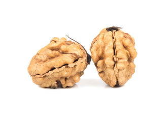 Two walnut without shell