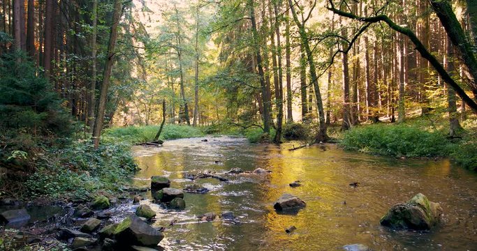 Mountain wild river Doubrava in Czech Republic. Valley in beautiful autumn fall colors. Picturesque landscape.