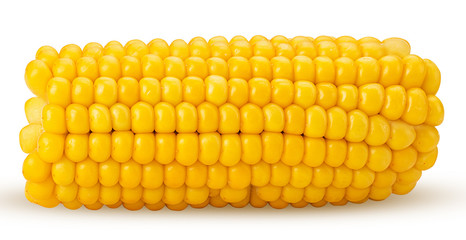 Ear of corn. Fresh corncob, cut in half