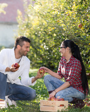 Man giving apple to girl in orchard