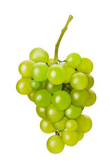 Ripe bunch green grape