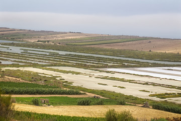 The saltpans near Oualidia, Morocco.