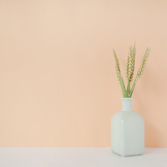 Bouquet of wheat spikelets in white vase on a pale peach pastel background. Lifestyle floral compostition with copy space