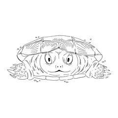Smiling turtle linear graphic sketch