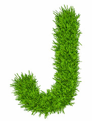 Letter of grass alphabet. 3d illustration