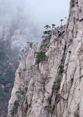 Huangshan Mountain (Yellow Mountain) in Anhui Province, China