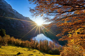 Herbstzauber Sonnenstrahlen Gegenlicht Herbstblätter Klöntalersee Berg blauer Himmel