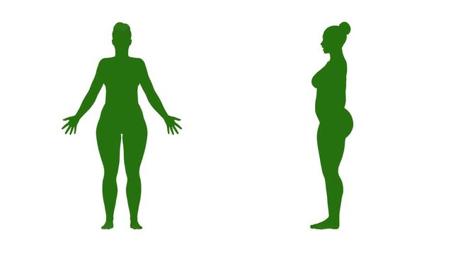 4K Simulation of a fat woman gaining weight and computer design