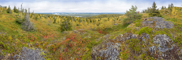 Mountains, forests, lakes panoramic view in autumn. Fall colors - ruska time in Iivaara. Oulanka national park in Finland. Lapland, Nordic countries in Europe