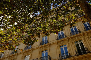Automne aux Champs Élysées, Paris, France