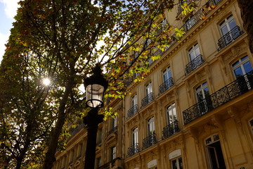 Range d'automne aux Champs Élysées, Paris, France