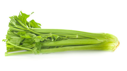 fresh celery on white background