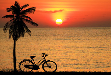 Fototapeta premium silhouette bicycle in the park on colorful sunrise 