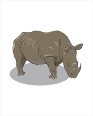 Adult big gray Rhino - vector drawing - isolate white background