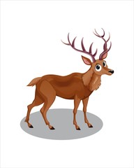 Cute Deer with big eyes - vector drawing - isolate white background