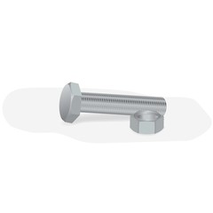 bolt and nut on a white background