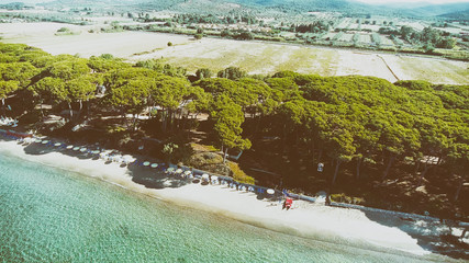 Overhead view of pinewood in front of ocean