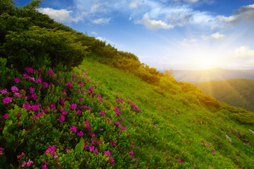 Obraz premium Mountain landscape on sun