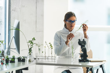 Biologist working in laboratory