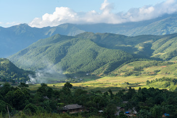 Naklejka premium Terraced rice field in harvest season in Mu Cang Chai, Vietnam.