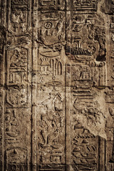 Bas-relief with hieroglyphics in an Egyptian temple in the Sahara #1