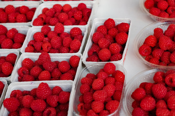 Red fruits: heap of raspberries