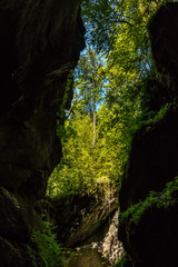 Wilder Bach, Felsen und Bäume