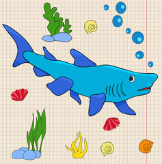 vector, shark cartoon
