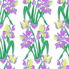 Naklejka na ściany i meble Irises, floral seamless pattern. Vector illustration.