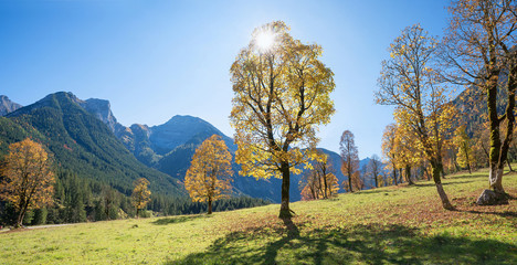 Ahornboden im Karwendel - beliebtes Ausflugsziel im Herbst - obrazy, fototapety, plakaty