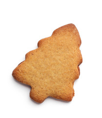 christmas gingerbread cookie