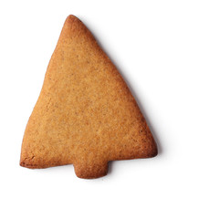 christmas gingerbread cookie