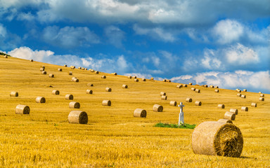 Fototapeta premium Straw bales on a wheat field in Slovakia