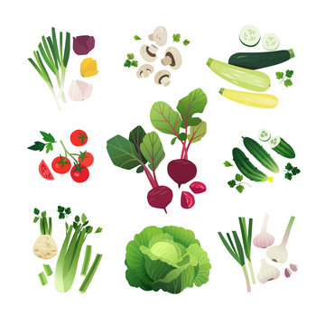 Vegetable set of onion, mushroom, zucchini, tomato, beetroot, cucumbers, celery, green cabbage and garlic